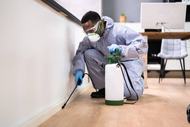 Best Pest Prevention Services  in Patton Village, TX